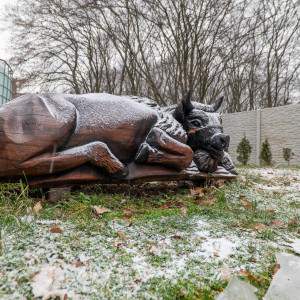 Na predaj lesopark Volkkovce