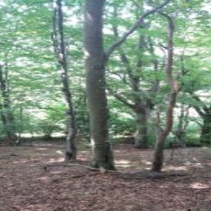 PREDAJ - rekreačný pozemok, Valaská