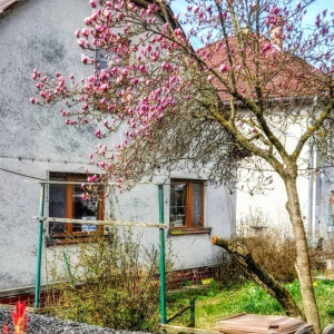 Predaj - Rodinný dom Lučenec