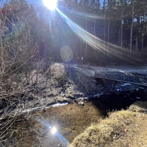 PREDAJ - Slnečný stavebný pozemok v srdci Nízkych Tatier Bystrá-pod Chopkom