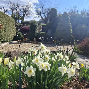 Predaj rodinného domu  Banská Bystrica