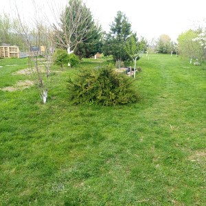 Predaj - Rodinný dom