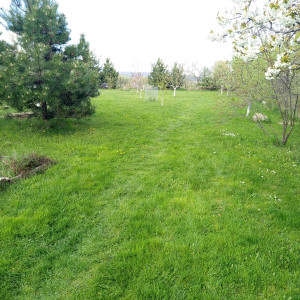 Predaj - Rodinný dom