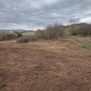 NA PREDAJ Pozemok v záhradkárskej oblasti Zvolen