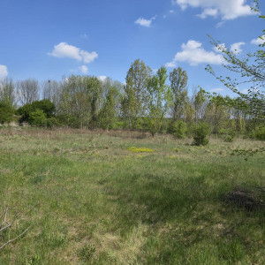 Predaj pozemok Senec