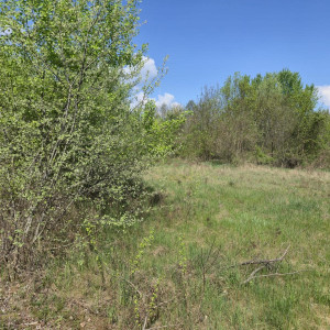 Predaj pozemok Senec