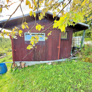 Záhradná chatka s pozemkom v obľúbenej lokalite nad Tulskou ulicou – ideálne miesto na oddych aj pestovanie