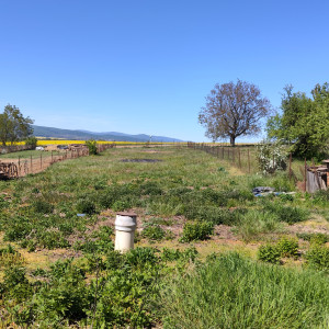 Predaj stavebný pozemok Horné Obdokovce 1385 m²
