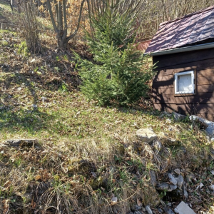 PREDAJ Záhrada s chatkou v Riečke, okr. Banská Bystrica
