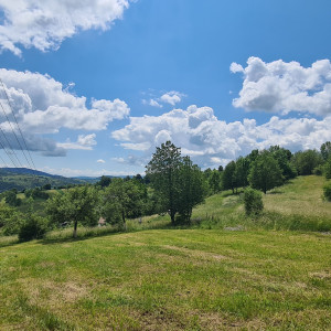 PREDAJ - Pozemok - Hriňová