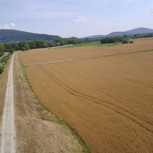 NA PREDAJ POZEMOK BRATISLAVA- DEVÍNSKA NOVÁ VES