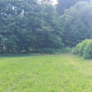 PREDAJ - Pozemok - Hriňová