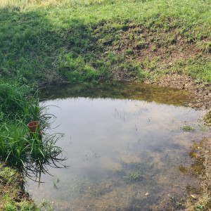 PREDAJ | Stavebný pozemok 2523 m² | Horný Tisovník